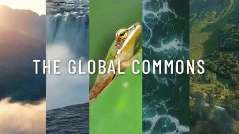 The Global Commons | Motion Graphics | Pixeldust Studios