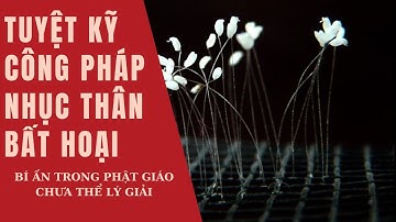 Tuyệt kỹ công pháp; Nhục thân bất hoại; Cơ thể phát sáng; Xá lợi Phật - Những điều còn là bí ẩn!