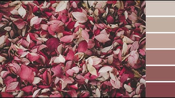 2 easy ways to Create Color Palettes From Image in Photoshop