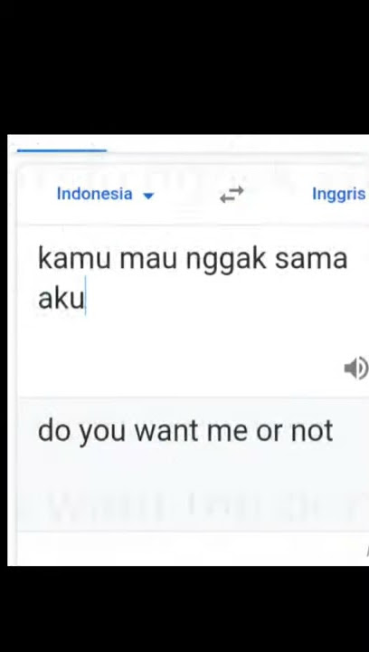 Ccp lucu [quotes story wa]