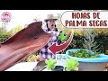 Plantando suculentas en hojas de palma│Candy Bu