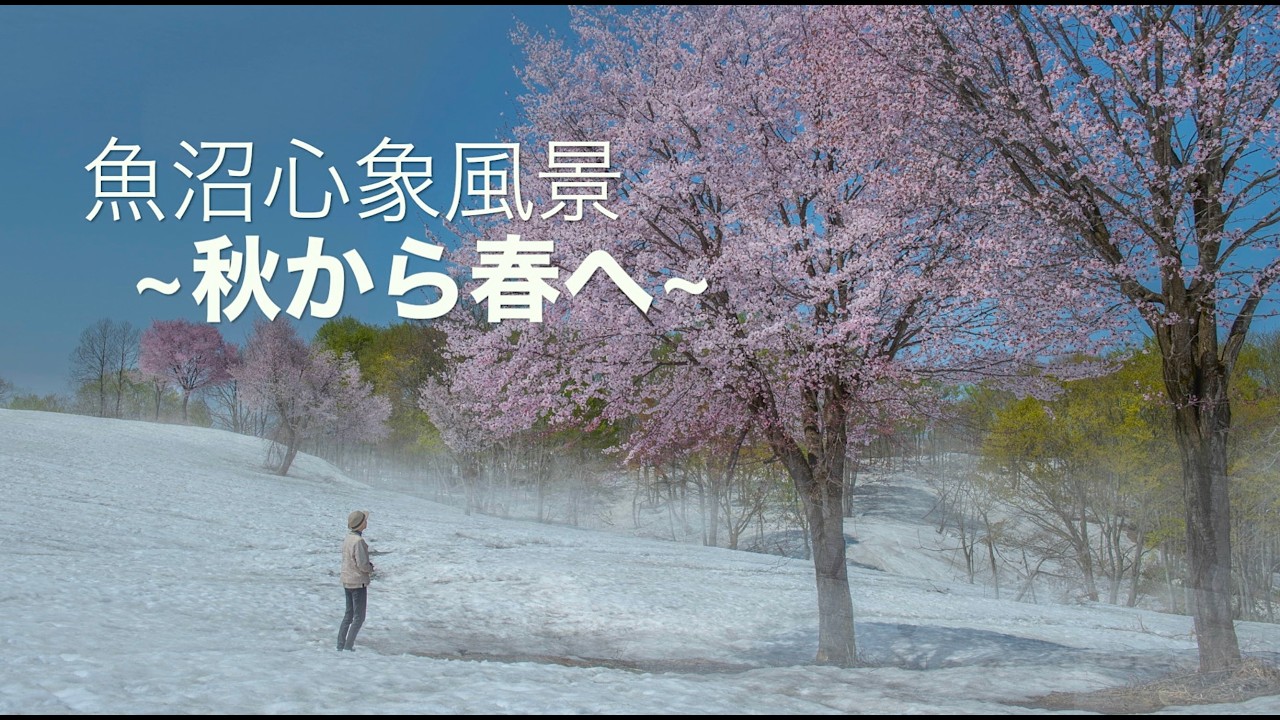 写真家 佐藤 権「魚沼心象風景~秋から冬 そして春へ~ 」Uonuma Imaginary Landscape ~Autumn to Winter and Spring~