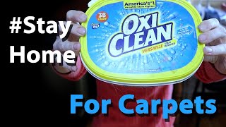 Oxi clean for carpets use and review | how to your area rug with