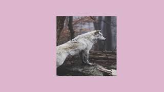 selena gomez // wolves (slowed+reverb) Resimi