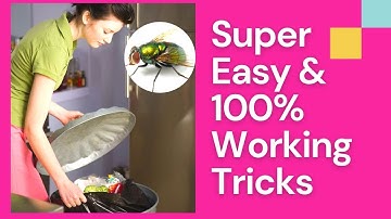 How To Keep Flies Out Of Garbage - 100% Working Tricks