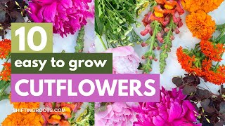 10 Easiest Cut Flowers to Grow for Beginners