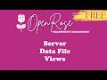 Server JSON Data File View #requirements #businessanalysis  #productmanagement #projectmanagement