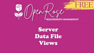 Server JSON Data File View #requirements #businessanalysis  #productmanagement #projectmanagement