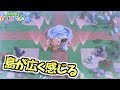 【島訪問】島全体がもの凄く広く感じる「にじのさき島」へお邪魔しました【あつまれどうぶつの森】