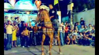 رقصة لحصان  1 فرقة سمير موسى