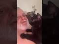 Zarclaw the Destroyer is camera shy #cat #cats #blackcat #pets #cute