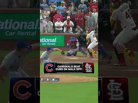 Cardinals defeat Cubs with a walk off! 🔥 #cardinals #baseball #mlb