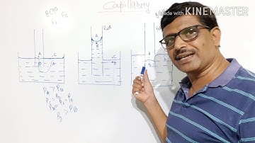 Capillary Action (Capillarity) (12)