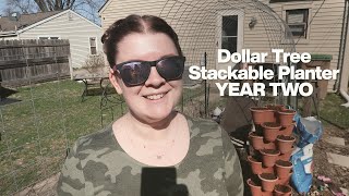 Dollar Tree Stackable Planter  YEAR TWO UPDATE!