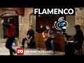 180 VR Flamenco en Australia - Usa tu visor de la Realidad virtual