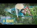 Cuộc sống ven rừng U Minh, đặc sản này lạ quá! Du lịch ẩm thực Cà Mau Miền Tây