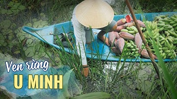 Cuộc sống ven rừng U Minh, đặc sản này lạ quá! Du lịch ẩm thực Cà Mau Miền Tây