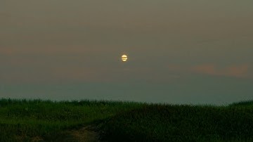 The Franklin Electric - Can