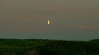 Download Lagu The Franklin Electric - Can't Find Your Way Out (Official Lyric Video) MP3