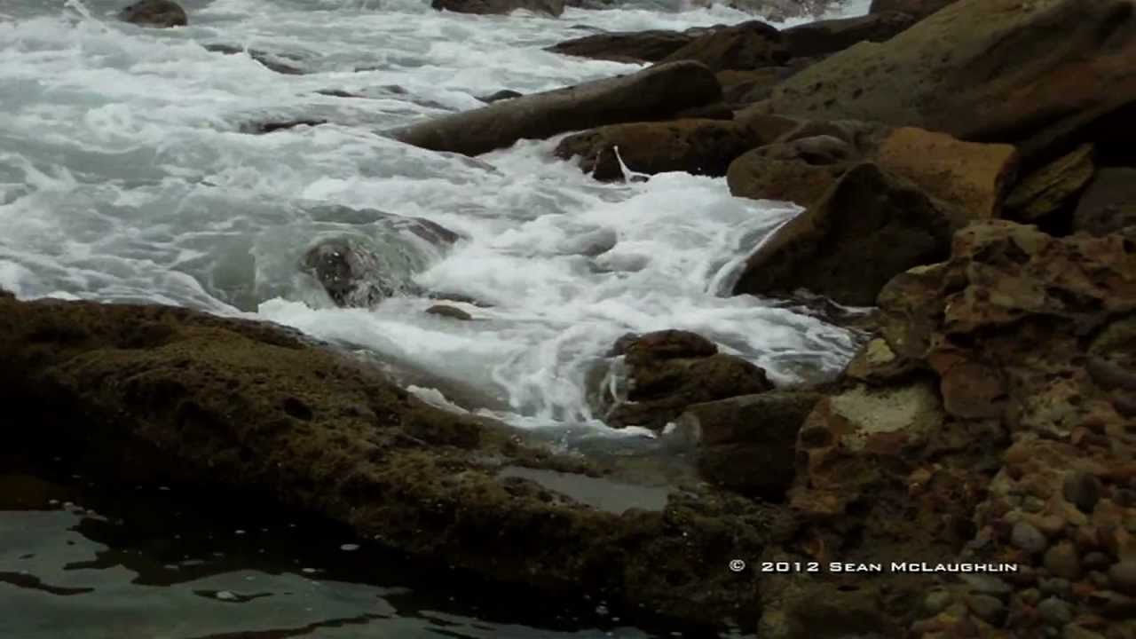 Pacific Ocean Tide Pools San Diego CA YouTube pacific-ocean-tide-pools-san-diego-ca-youtube