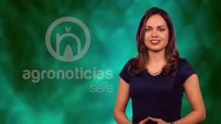 TITULARES AGRONOTICIAS sie7e PROGRAMA 25