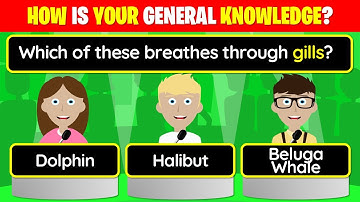 👉  40 Trivia Quiz Questions - How is YOUR general knowledge?! | 25-169