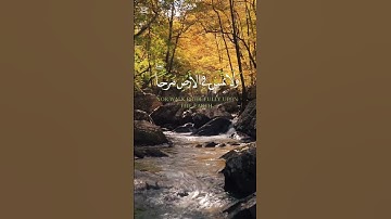 ولا تصعر خدك للناس ولاتمش في الأرض مرحا #القرآن_الكريم #سورة_لقمان #اسلام_صبحي #المصحف #اكسبلور