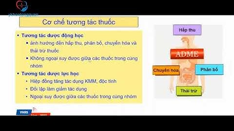 Tương tác thuốc cần lưu ý trong lâm sàng bệnh lý hô hấp - PGS.TS DS Nguyễn Hoàng Anh