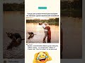 #смех #юмор #приколы#анекдоты