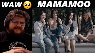  CRYING TEARS OF JOY  마마무 (MAMAMOO) - Where Are We Now Reaction