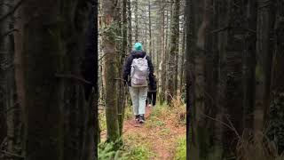 Лес горы Ольховой #travel #mountain Приморский край гора Ольховая 1669