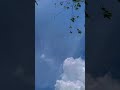 Find the plane #planespotting