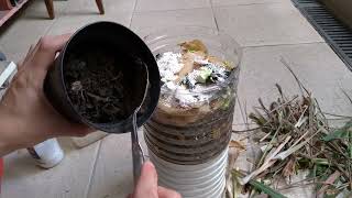 MAKING COMPOST IN PLASTIC BOTTLES – DIY VLOG ASMR