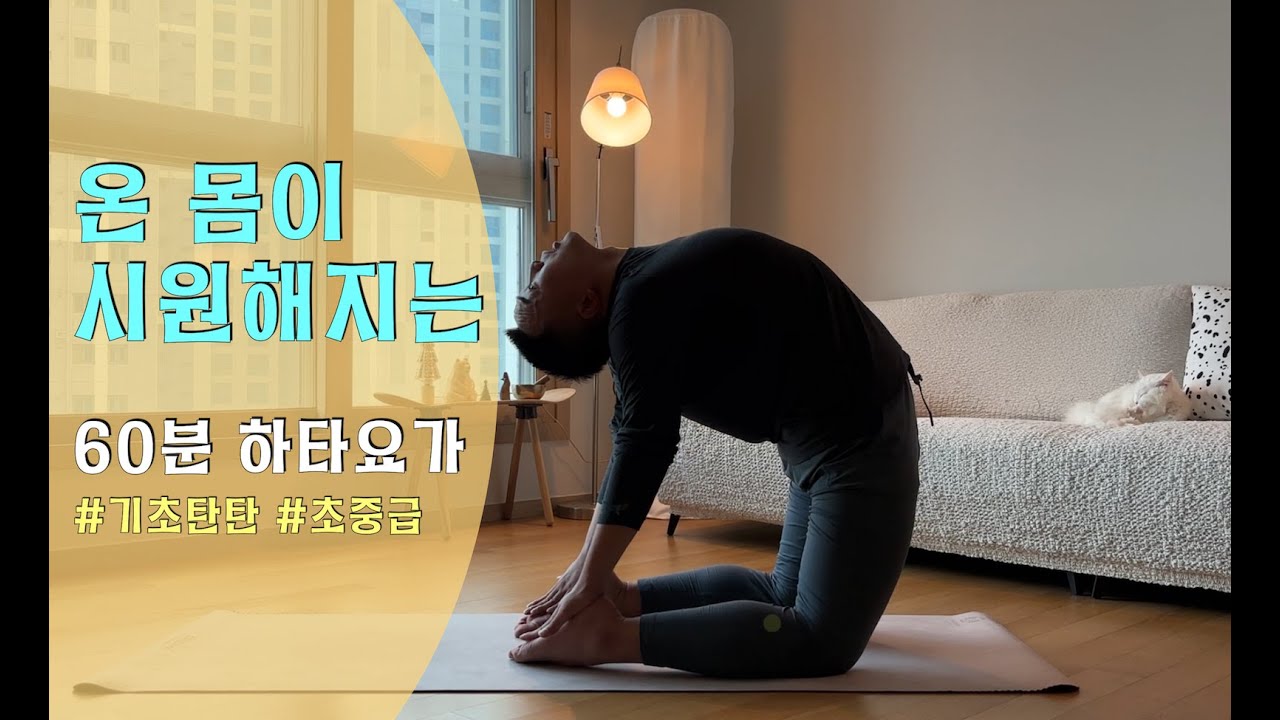 60분 하타요가, 온 몸이 시원해지는 기초탄탄 요가
