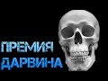 ТОП 5 ОБЛАДАТЕЛЕЙ ПРЕМИИ ДАРВИНА . Странные случаи которые привели к смерти.