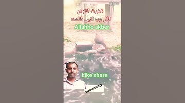 #القران_الكريم #تلاوه_خاشعه #قال رب انیی ظلمت نفسی#تيك_توك #foryou
