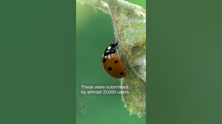 Nature-based citizen science activities - get involved!