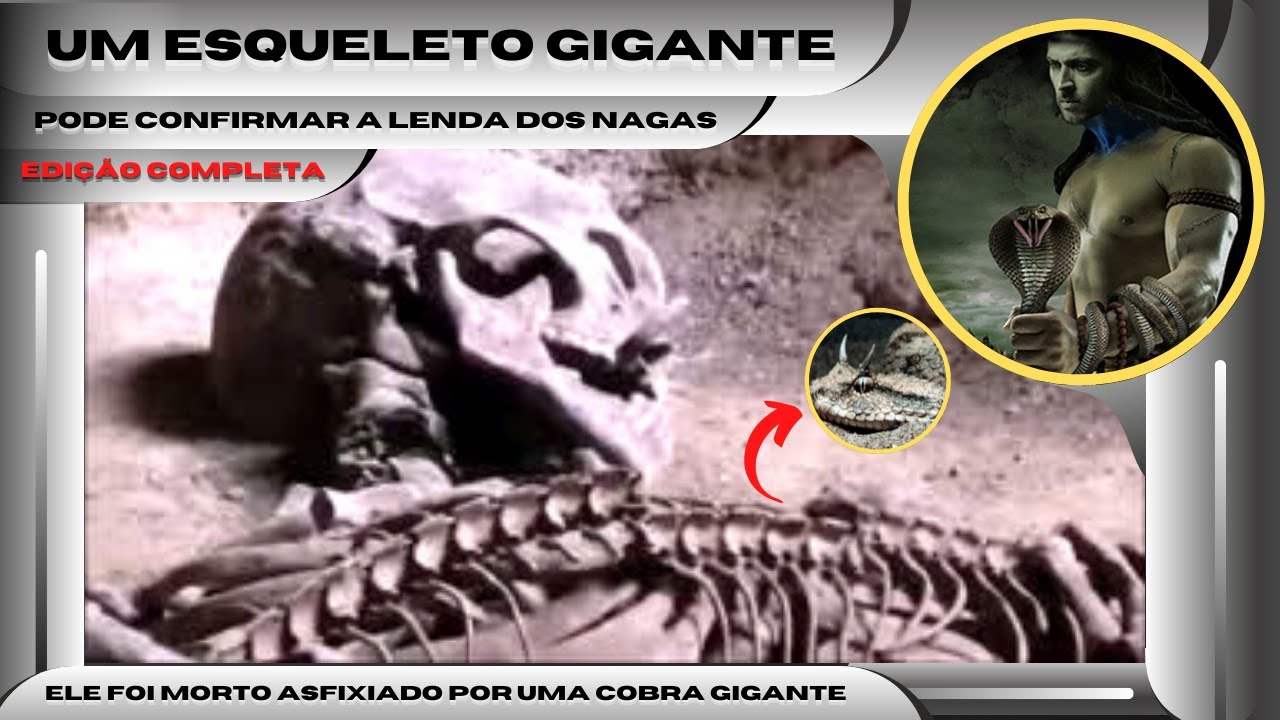 A verdade por trás do vídeo que mostra um 'esqueleto de cobra