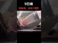 ご飯あげたら、信じられないスピードで事故www