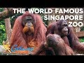 Singapore Zoo & Night Safari | Getaway 2019