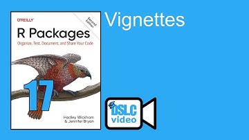 R Packages: Vignettes (rpkgs06 17)