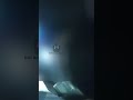 She Crashes Her Car on a Fake ID. GEEZ: Cops #bodycam #dui #arrest #cops #dwi #ovi #police