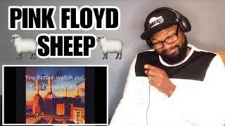PINK FLOYD - SHEEP | REACTION