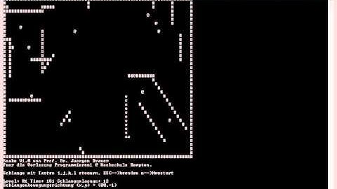 "Snake" Programming Project