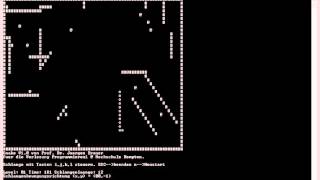 "Snake" Programming Project Net Worth