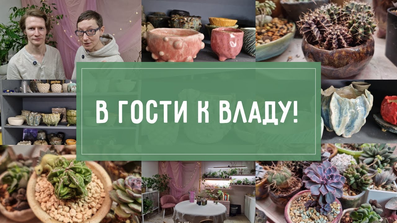 АЙДА В ГОСТИ! ОБЗОР РАСТЕНИЙ и КЕРАМИКИ Влада!