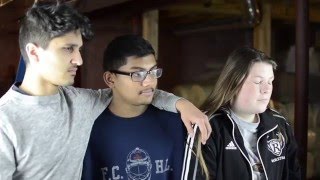 Rube Goldberg Machine Physics Project