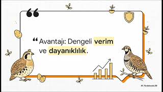 Bıldırcın Ve Keklik Türleri Ile Irk Seçimi
