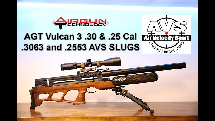 Vulcan 3 .30 & .25 cal SUB MOA accuracy at 100yds AVS airgun slugs