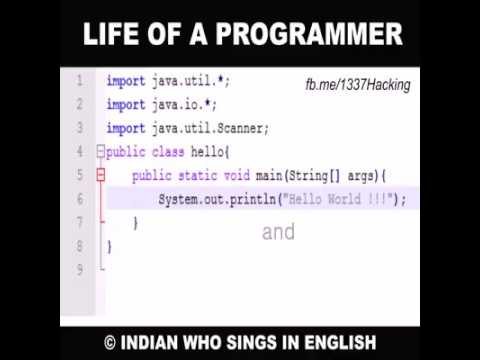 Life of programmer
